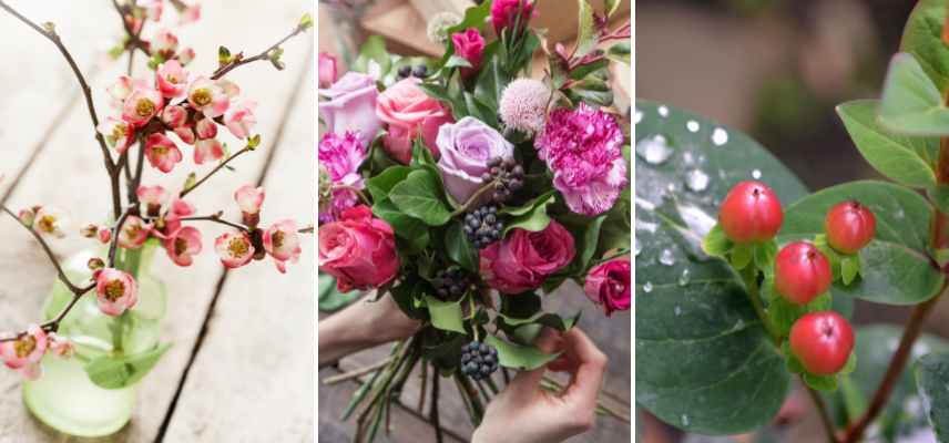 Conserver les fleurs coupées : des bouquets longue durée