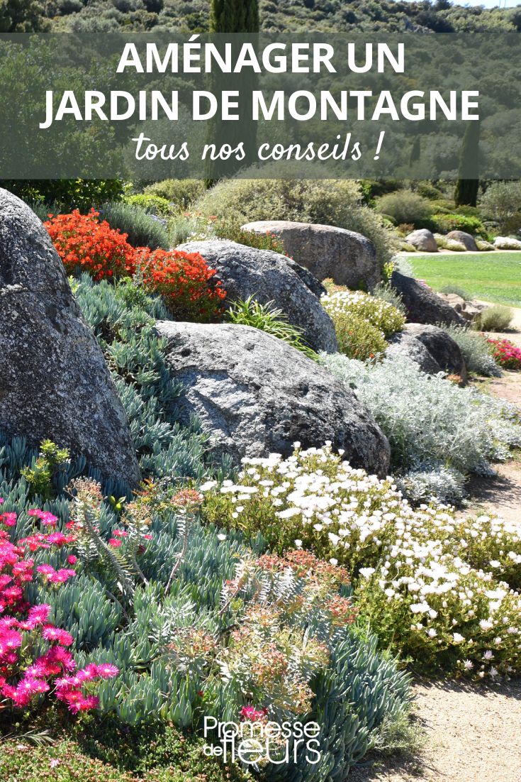Comment obtenir un jardin zen ? – Faune et Flore : le blog