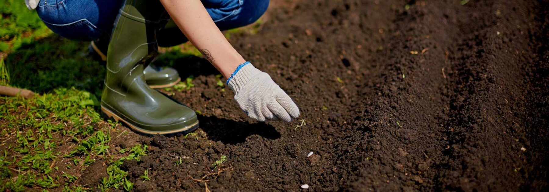 Les outils indispensables pour semer en pleine terre