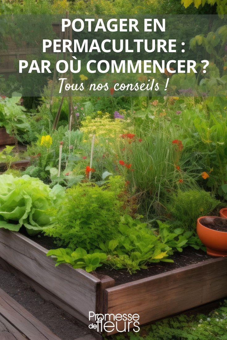 Livre avec 12 sachets jardinage permaculture