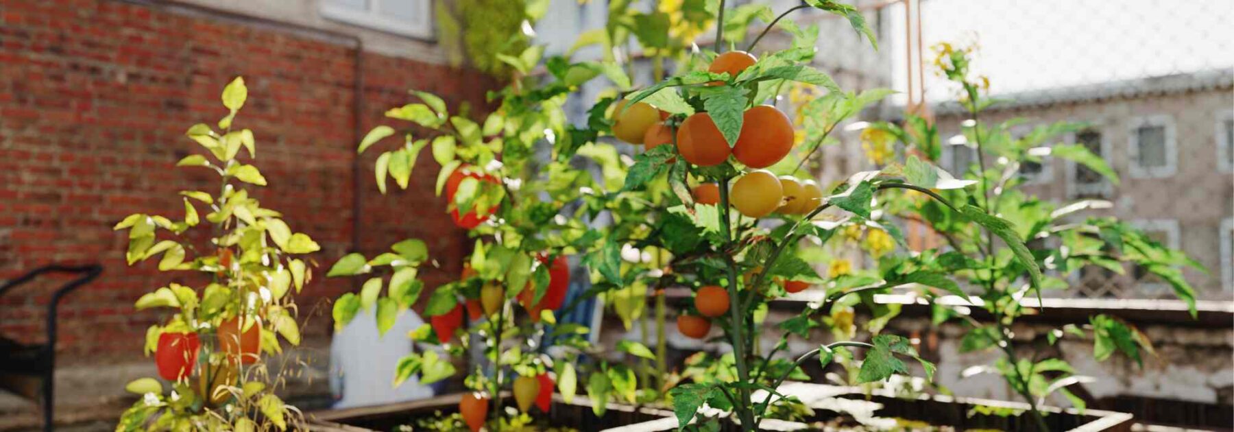 Arrosage du potager permaculture  les meilleurs systèmes et astuces —  Rubus Services