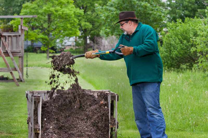 Pelle de jardin creusant le désherbage plantant une pelle large de légumes  