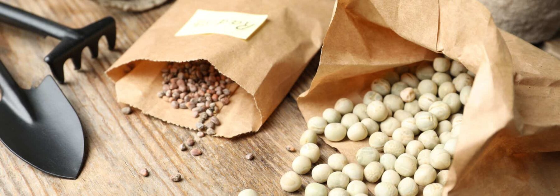 Légumes rares et historiques - kit cadeau de graines, Kit de semences