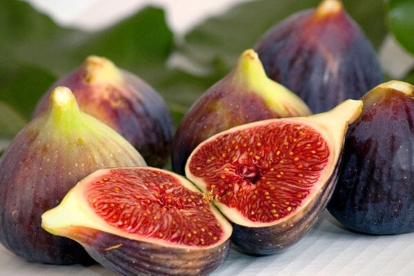 Comment récolter et conserver les figues ?