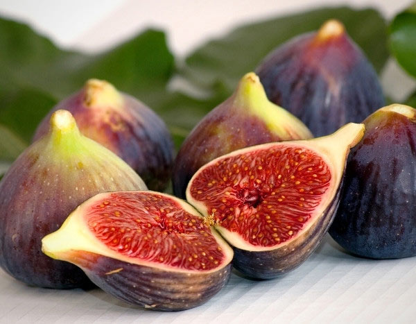 Comment récolter et conserver les figues ?