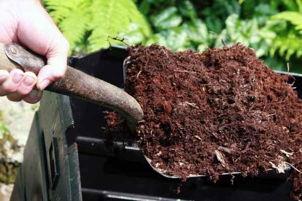 Compost : où et comment bien l'utiliser au jardin ?