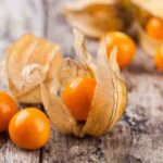 La tisane de Physalis : une infusion couleur d'automne