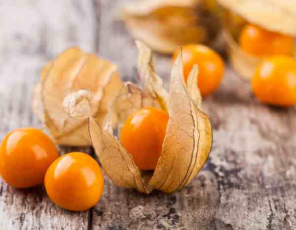 La tisane de Physalis : une infusion couleur d'automne