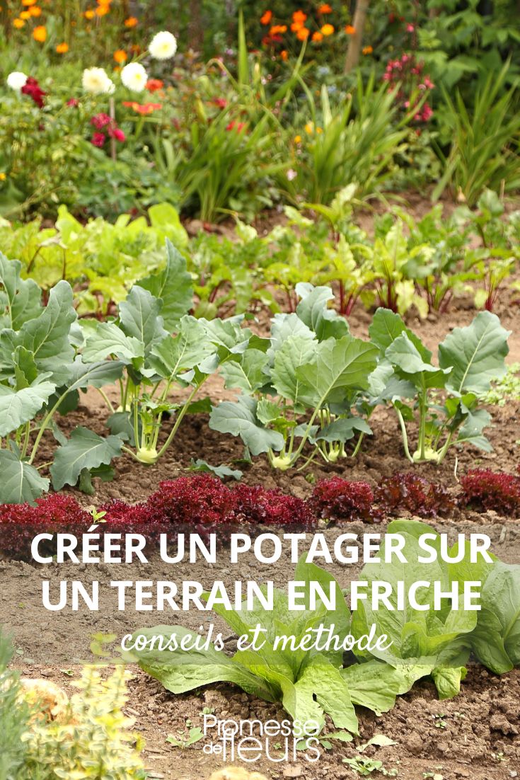 Créer un potager sur un terrain en friche : conseils et méthode