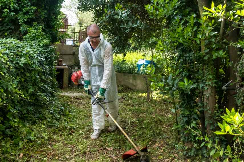 Débroussailler friche pour création potager