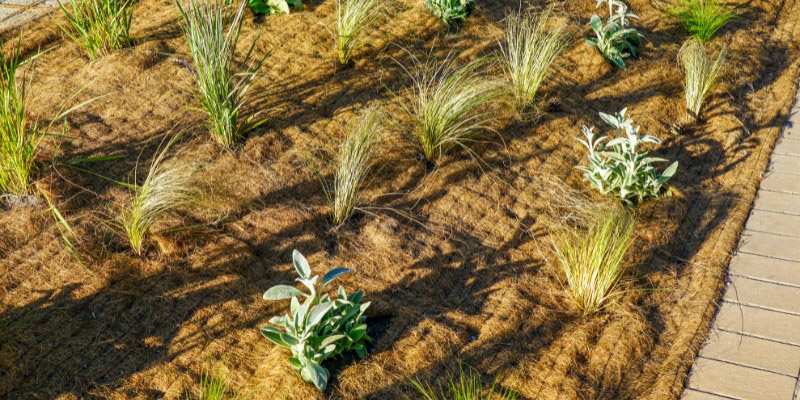 Toile de paillage biodégradable et naturelle