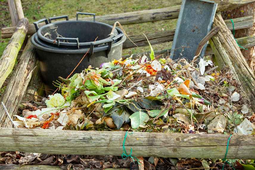 compost déchets non conseillés