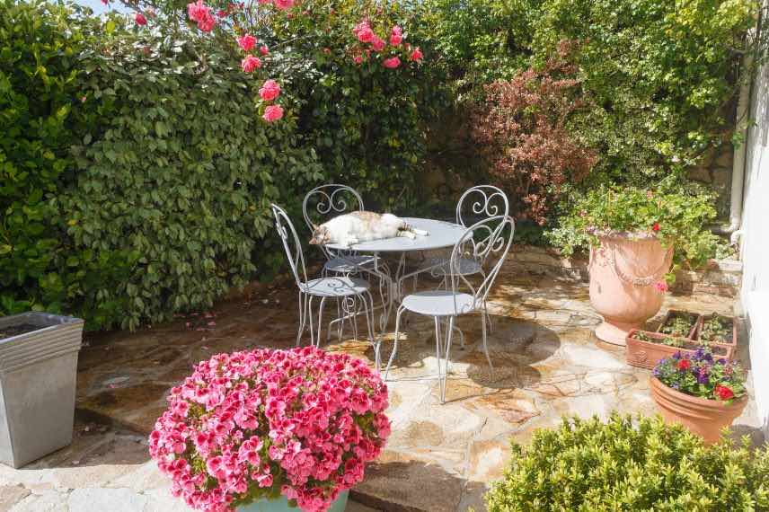 terrasse et table de jardin