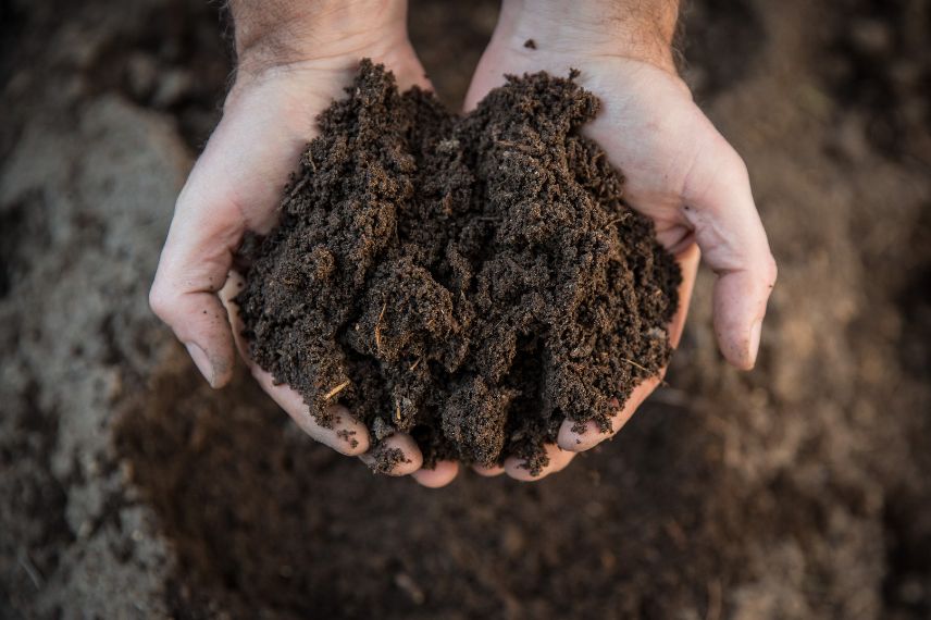 potager sans eau sol riche