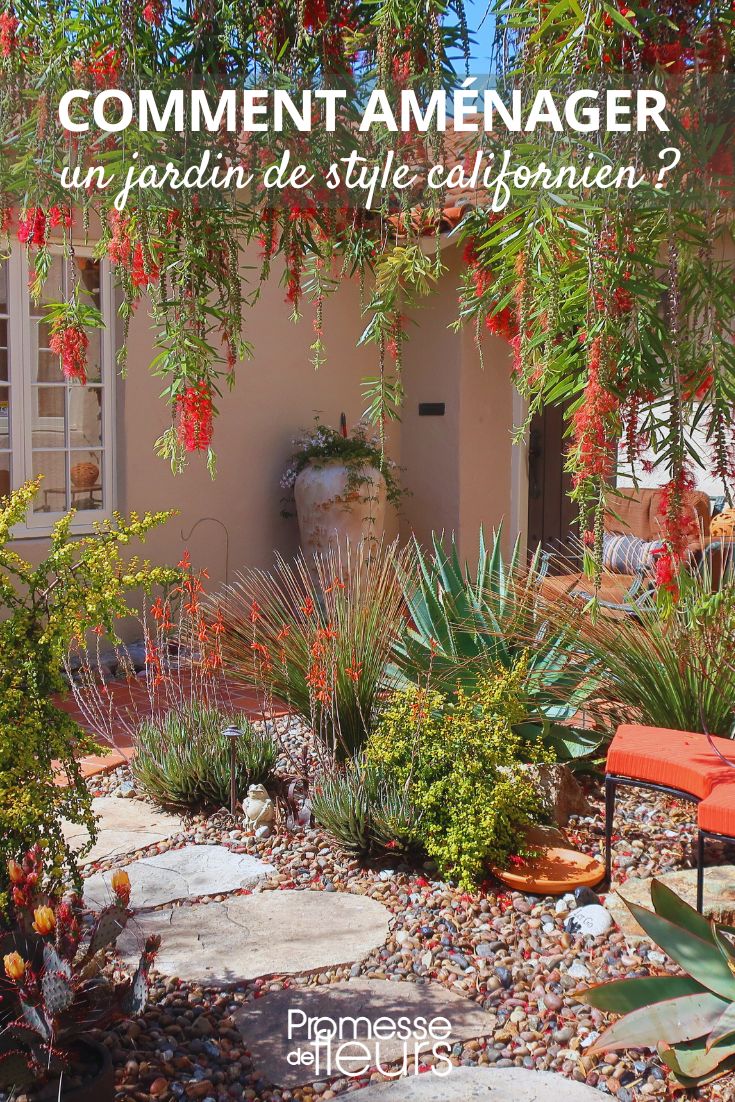 idées et conseils pour un jardin californien