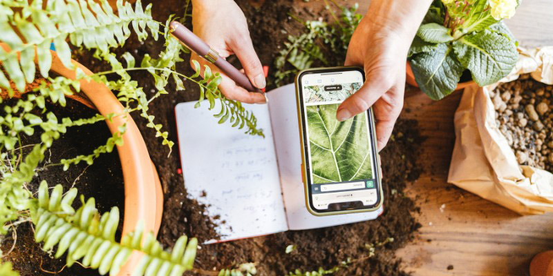 Journal, carnet de jardinage