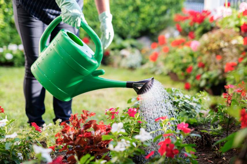 arrosage jardin été 