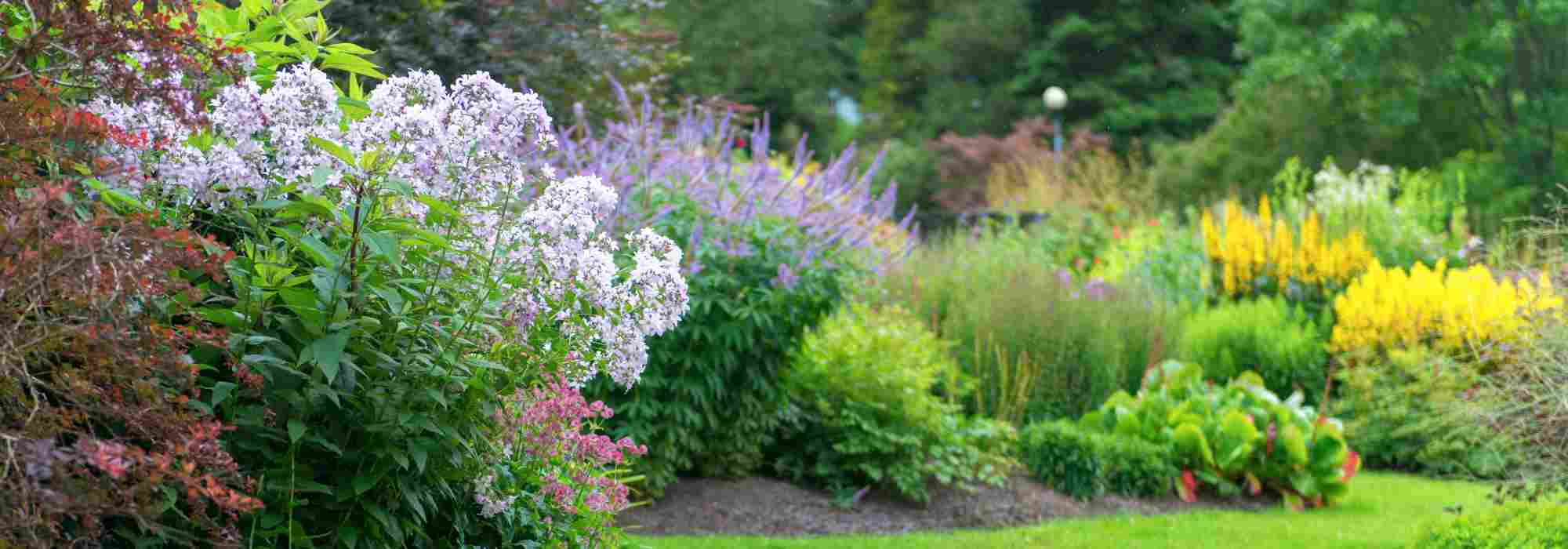 Comment entretenir votre jardin en été ?