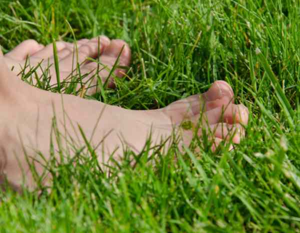 Grounding ou Earthing : comment se reconnecter à la Terre ?