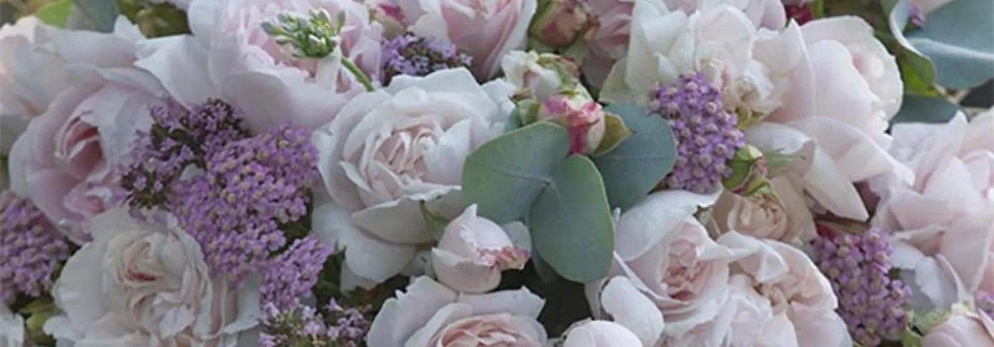 Les meilleurs rosiers pour des bouquets enchanteurs et parfumés