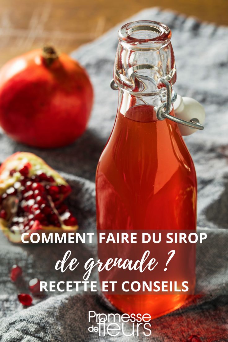 recette du sirop de grenades maison