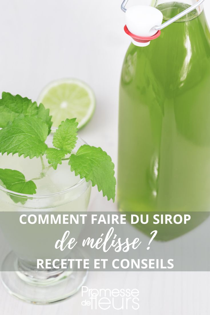 recette sirop mélisse maison