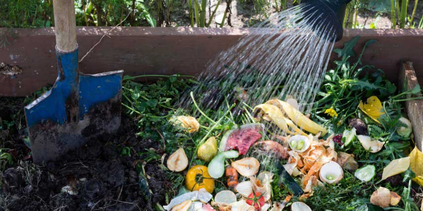 arrosage du compost