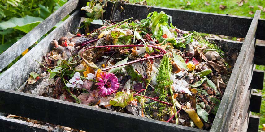 comment gérer le compost en été