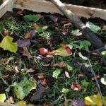 Nos astuces pour bien gérer votre compost en été