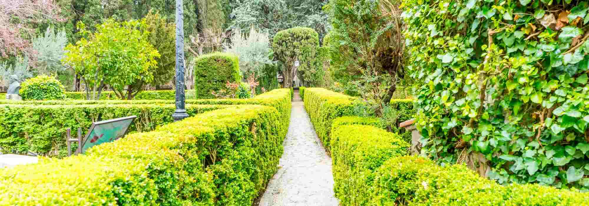 Quels engrais pour les arbres et les arbustes ?