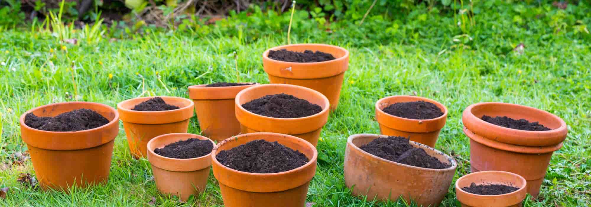 Que faire de la terre et du terreau des vieux pots de fleurs ?