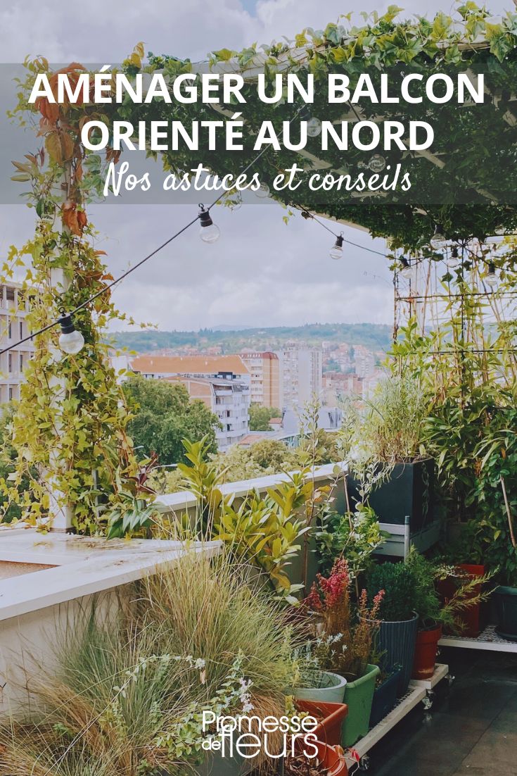 un balcon à l'ombre