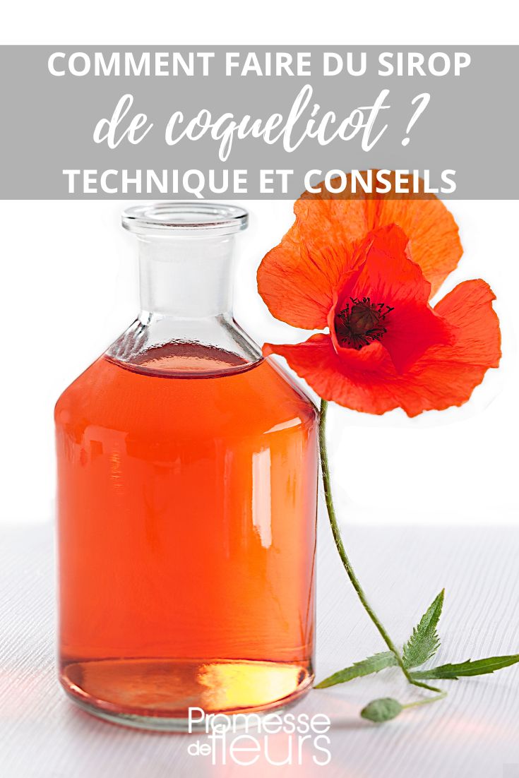 recette du sirop de coquelicot