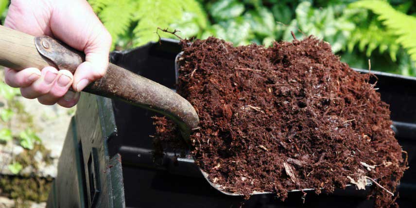 Apport de compost pour améliorer le drainage du sol