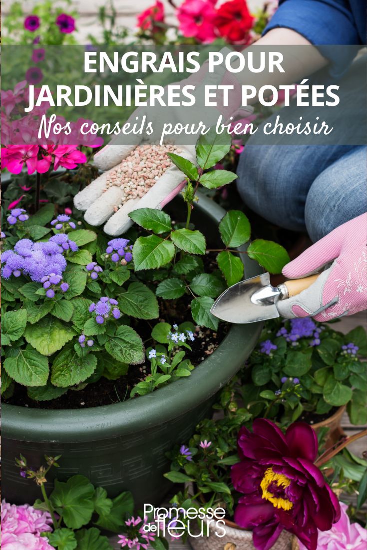 choisir les bon engrais pour pts et jardinières