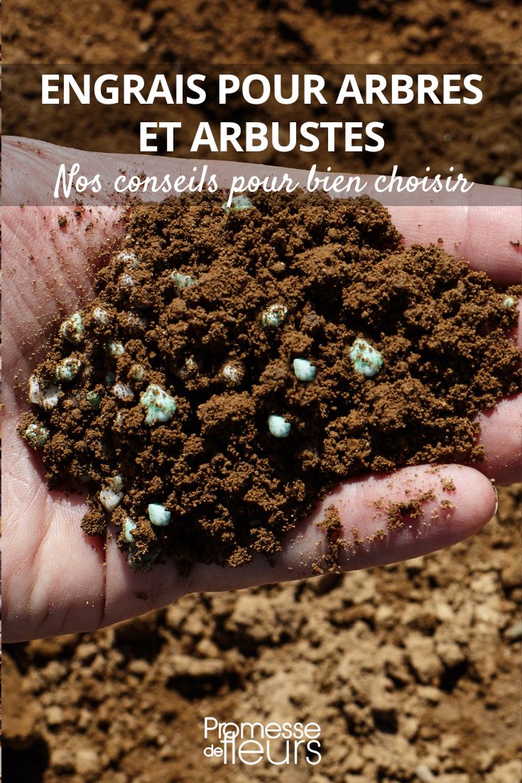 fertilisant pour arbres et arbustes