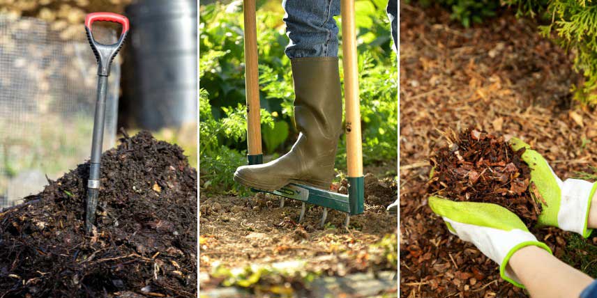 Techniques de jardinage écologique pour favoriser un sol vivant