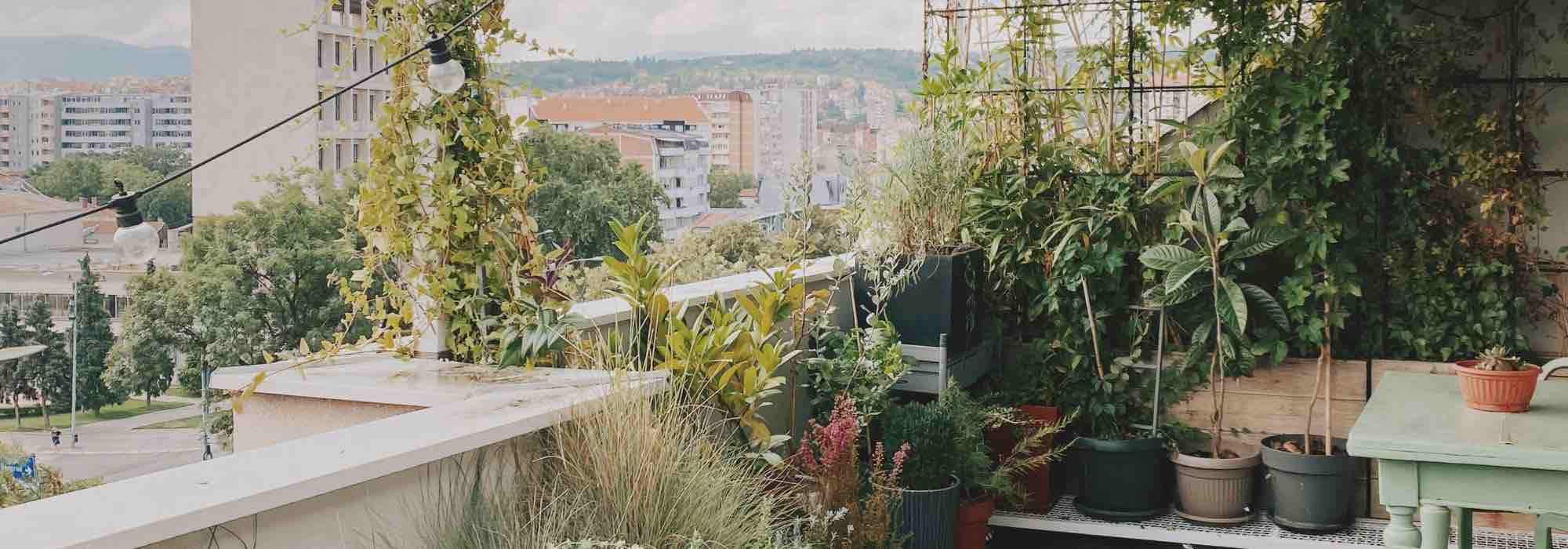 Aménager un balcon orienté au nord