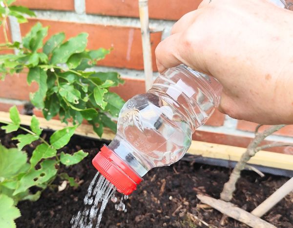 Zéro déchet : Comment fabriquer un arrosoir avec une bouteille plastique ?