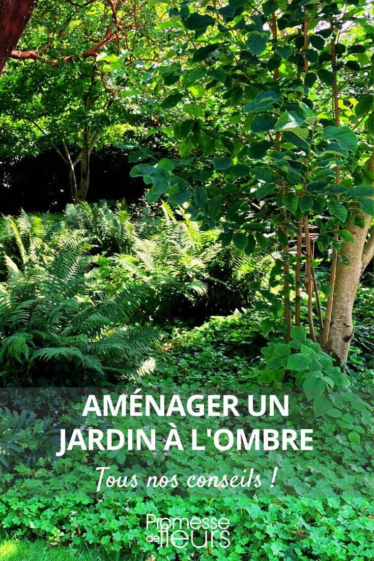 jardin ombre amenagement amenager