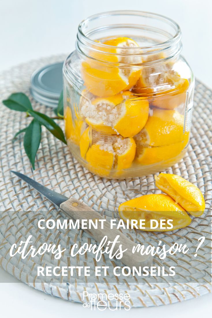 recette citrons confits