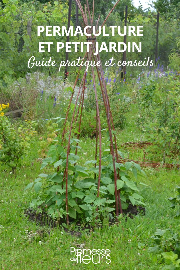 peut-on mettre en place la permaculture au petit jardin