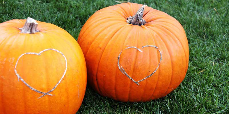 Coeurs gravés sur des courges