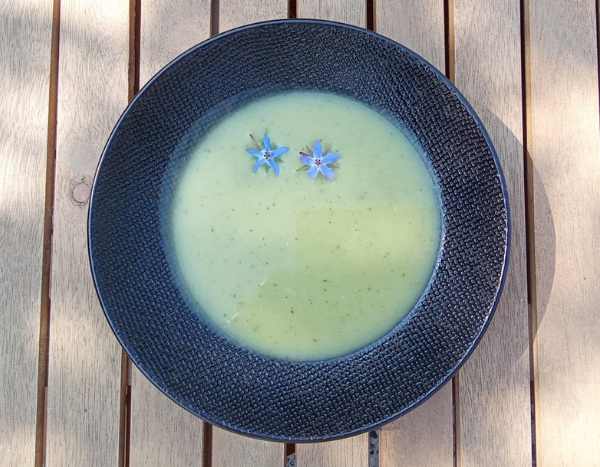 La soupe aux feuilles de bourrache : une recette simple et savoureuse