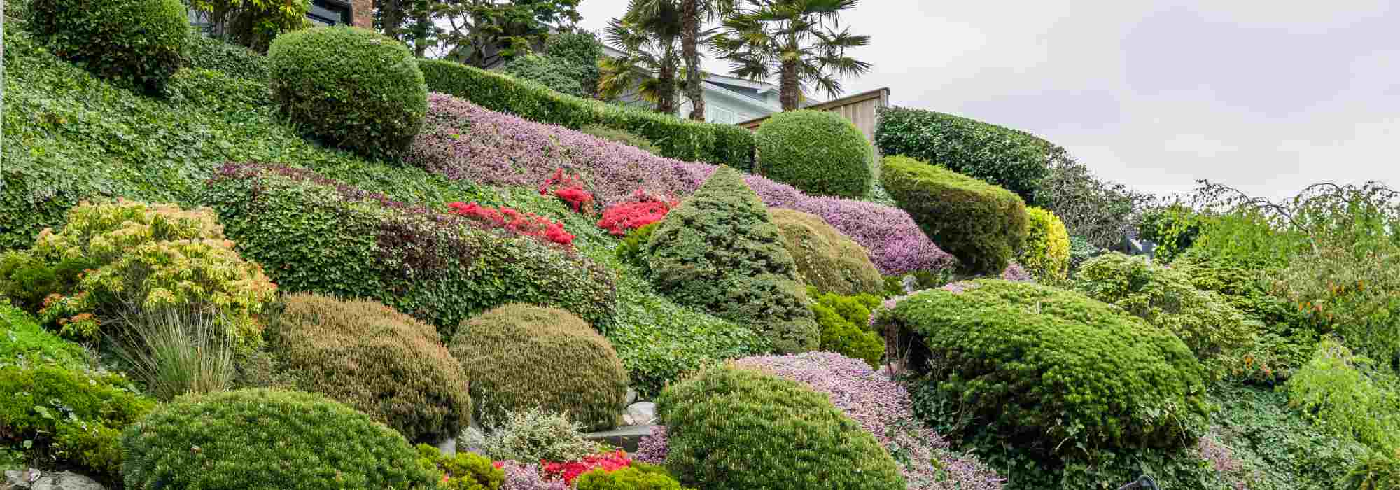 Comment planter sur un talus ?