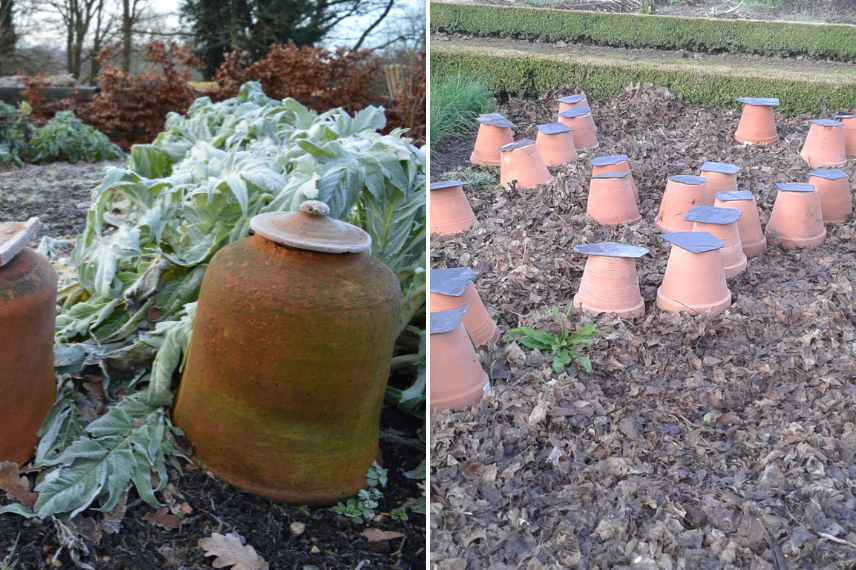 utilisation pots argile au potager