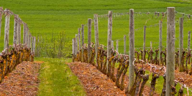 terre argilo calcaire