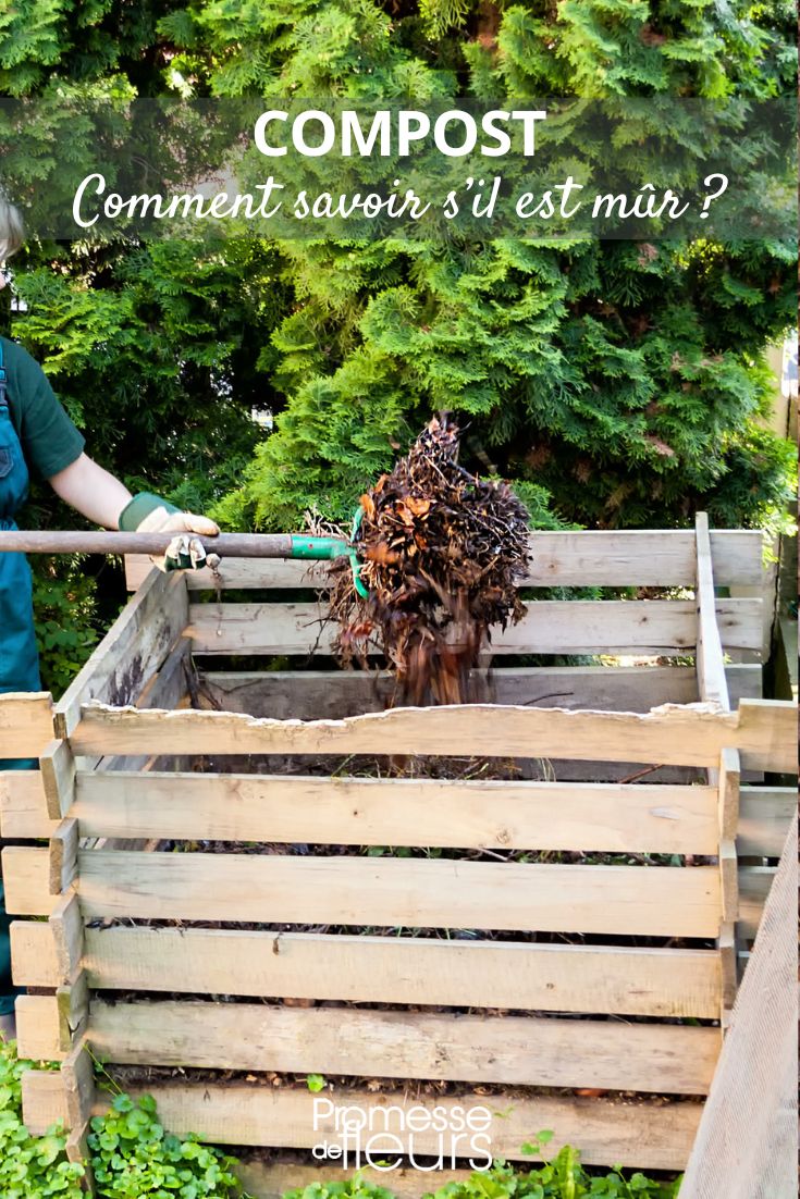 composteur : reconnaitre un compost bien mur