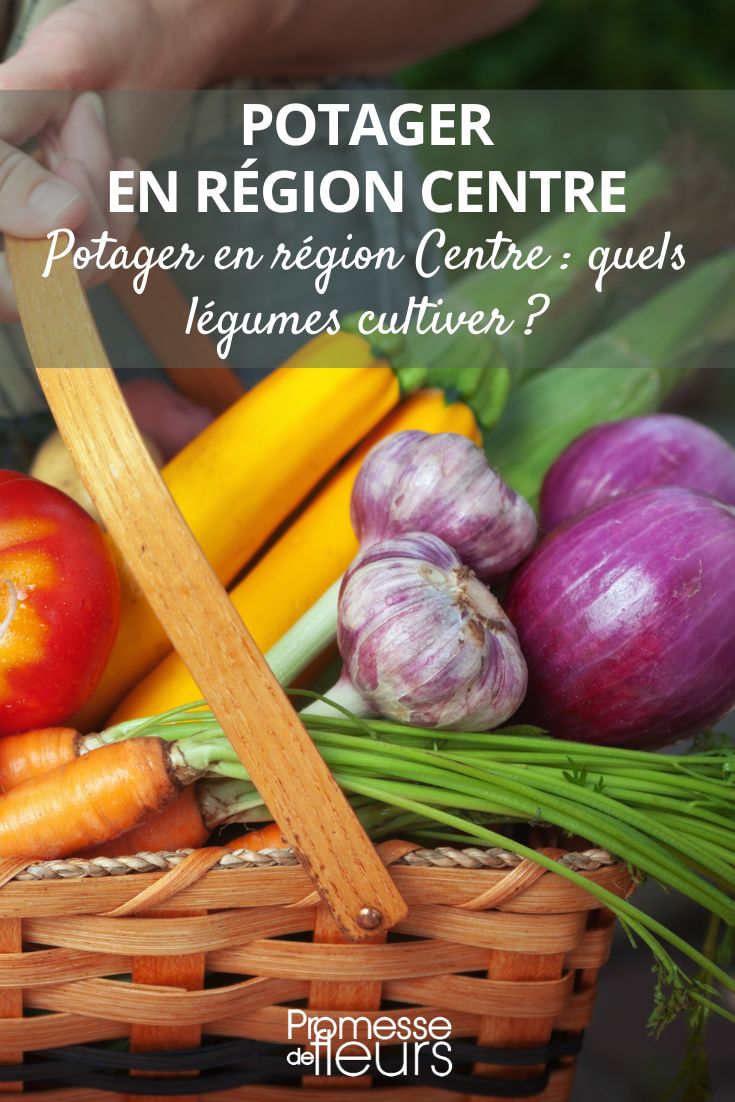 potager en région centre