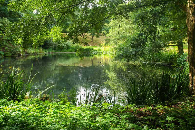 Comment préserver la biodiversité sur ses terres